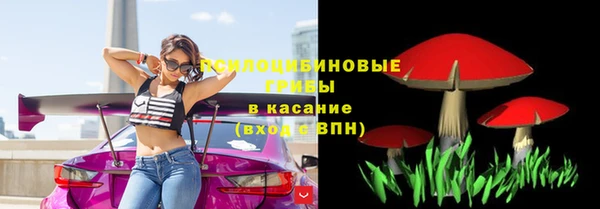 прущие грибы Протвино