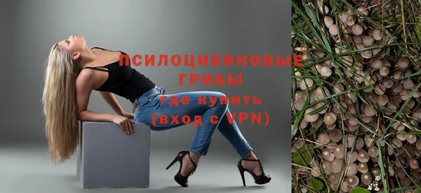 прущая мука Армянск